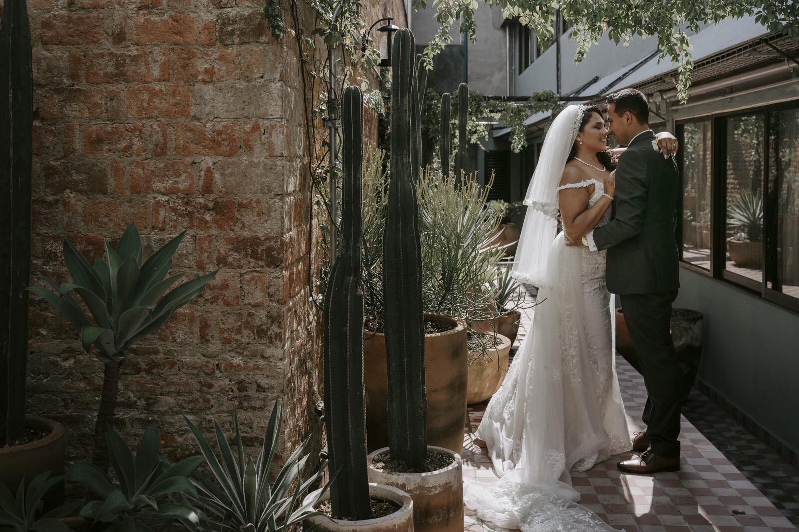 Los novios se besan en un patio con muros de ladrillo y cactus